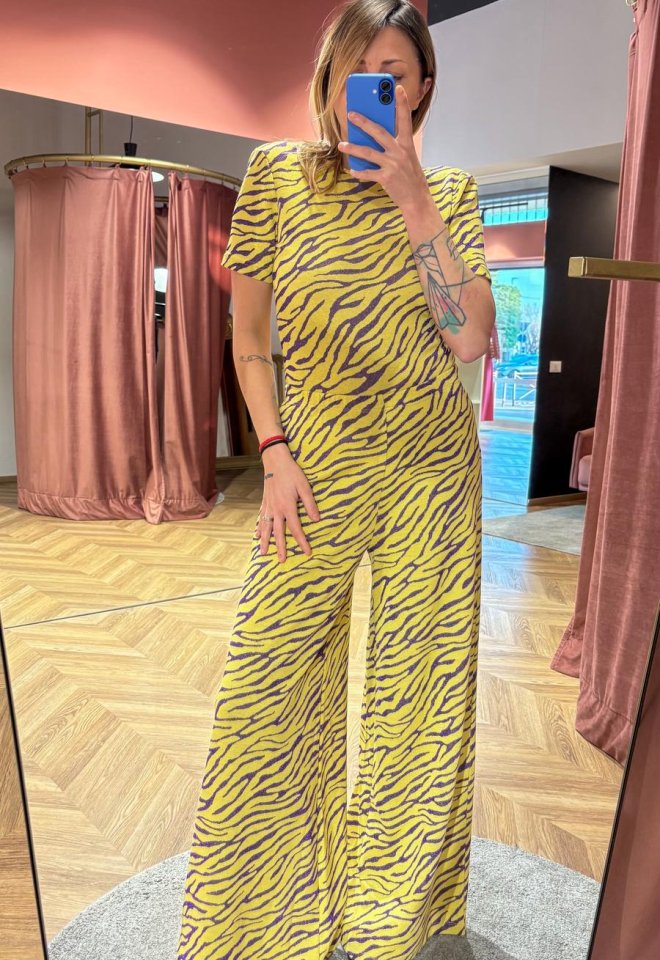 Paloma Zebra Giallo -  S